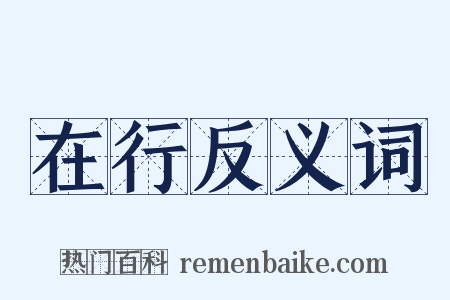 在行反义词是什么意思的图片
